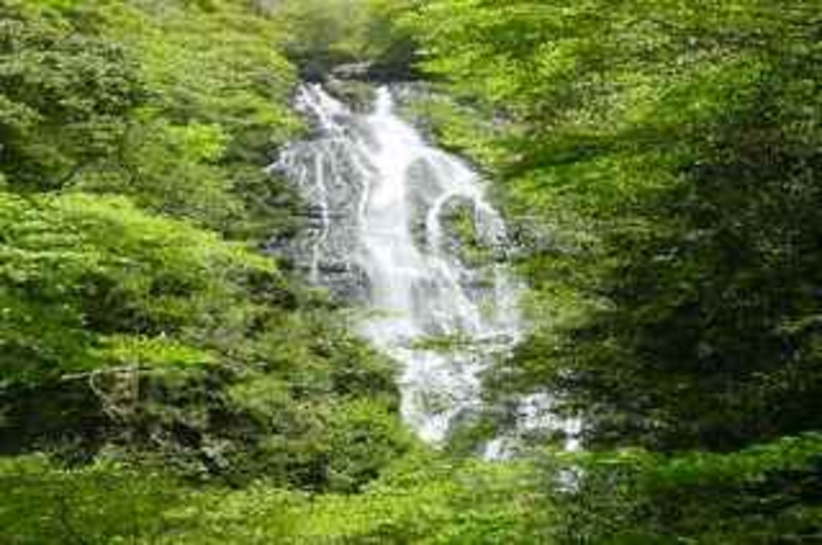 勝山・神庭の滝