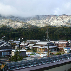 山側のお部屋からの眺望