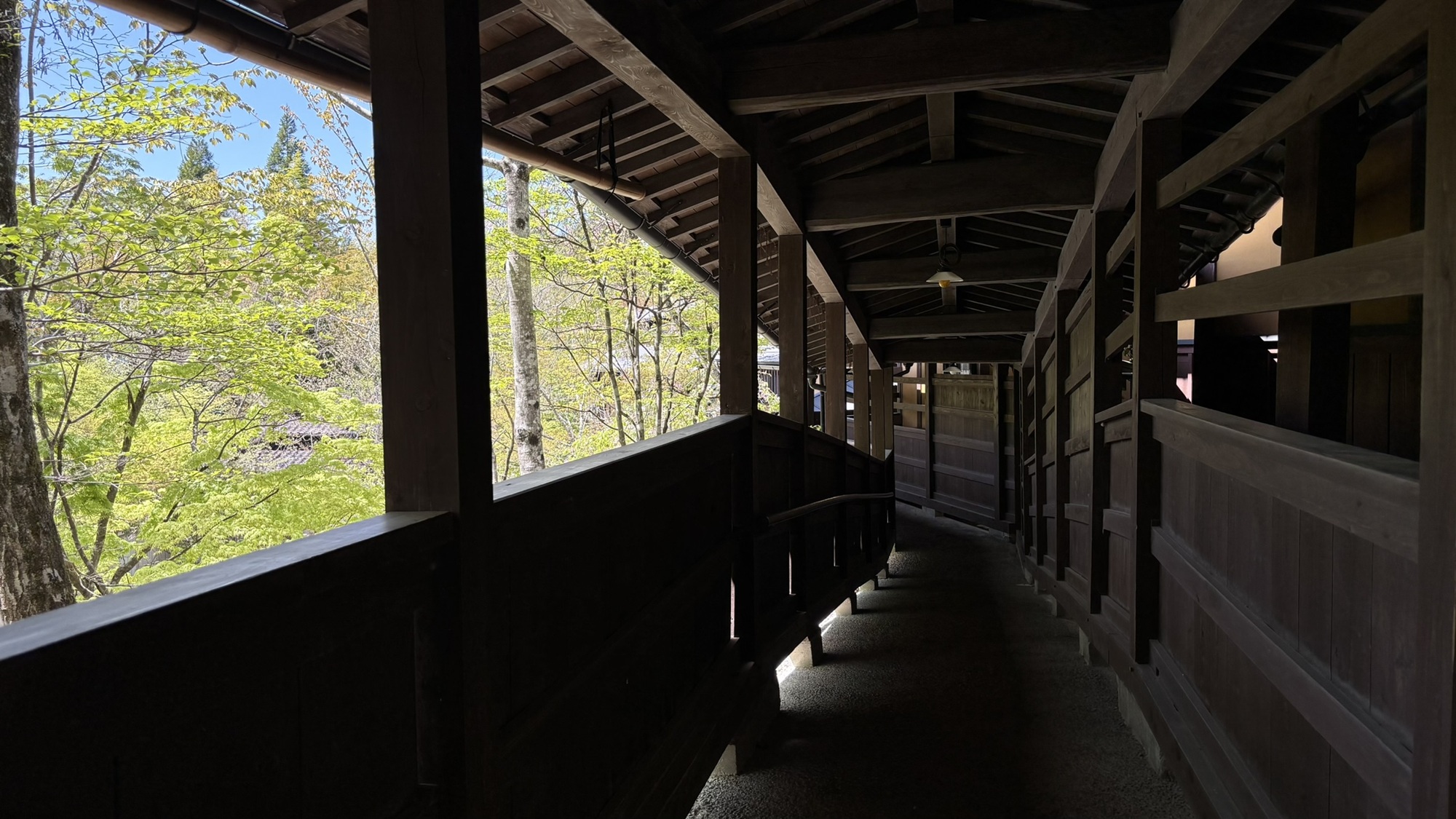 館内から見る新緑の風景