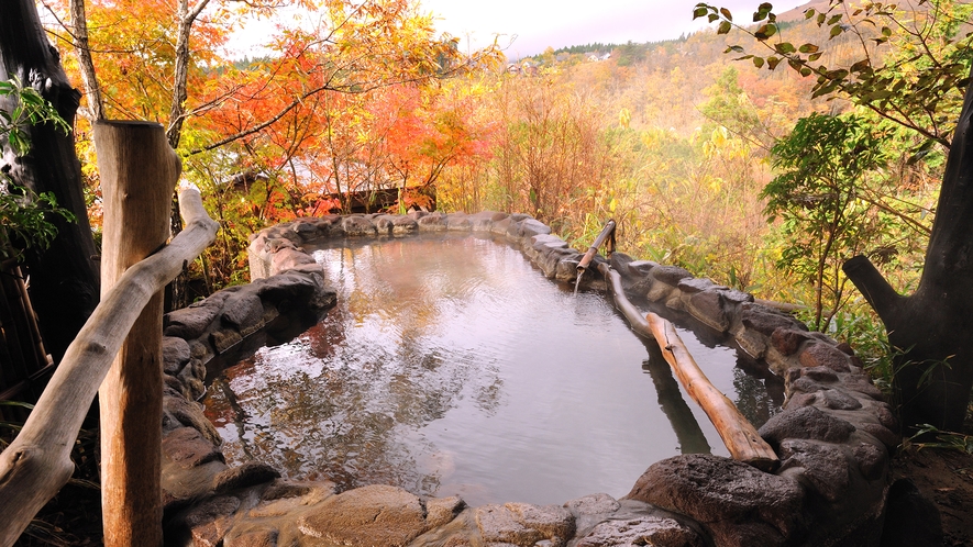 紅葉の山法師の露天