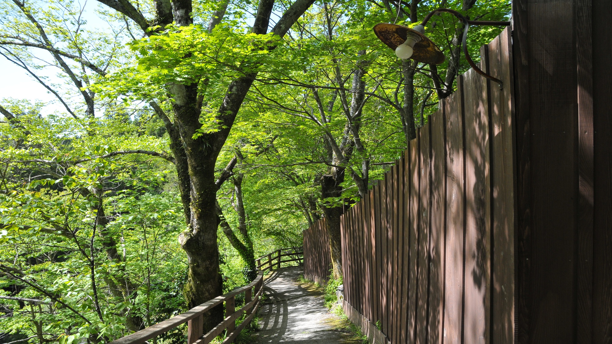 大浴場へ続く道
