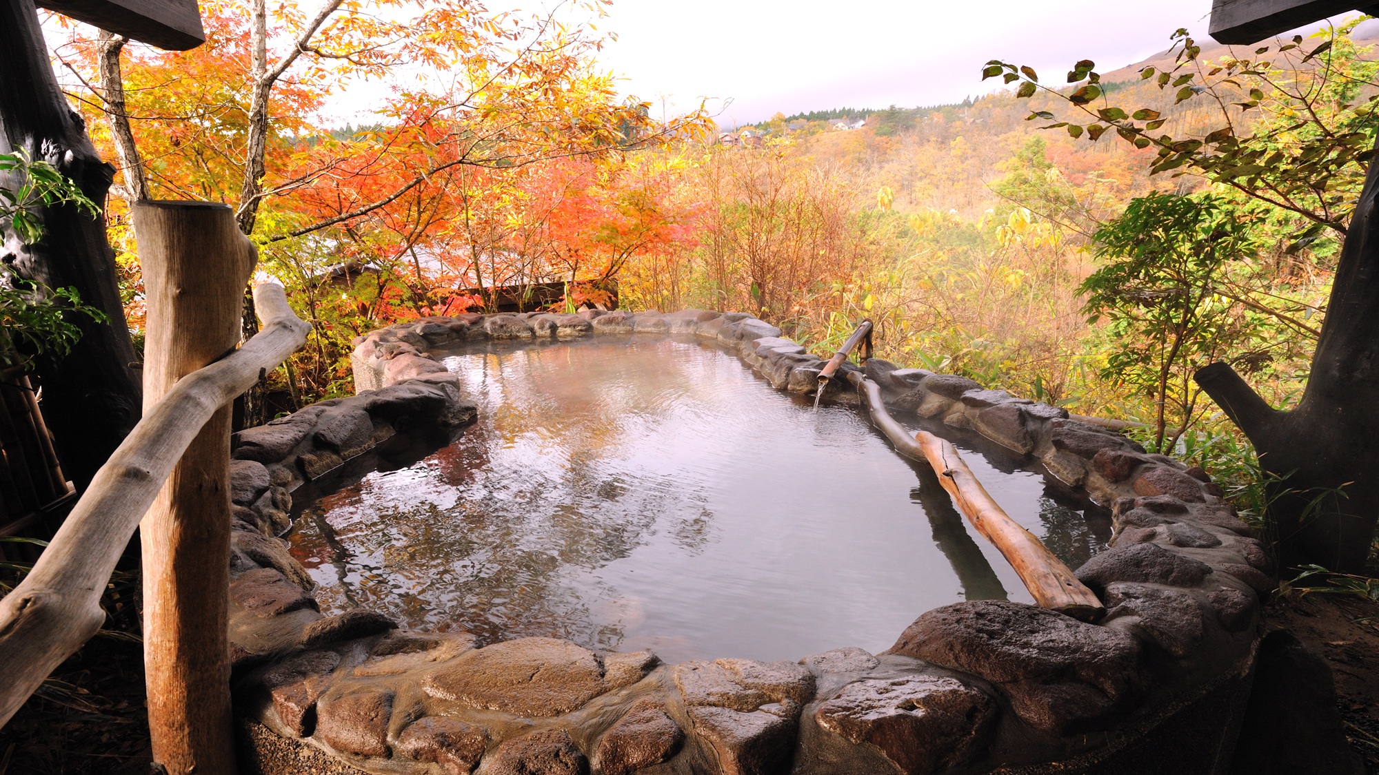 （写真は一例）