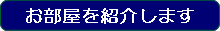 Room Introduction