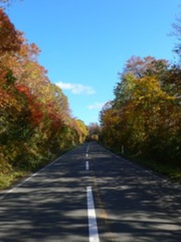 八幡平の紅葉