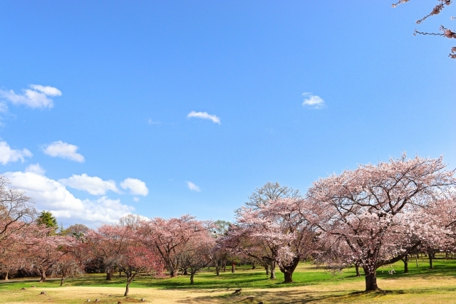 【2024年8月ReOPEN】リニューアル『アウトドアエリア』限定プラン【朝食ビュッフェ付】