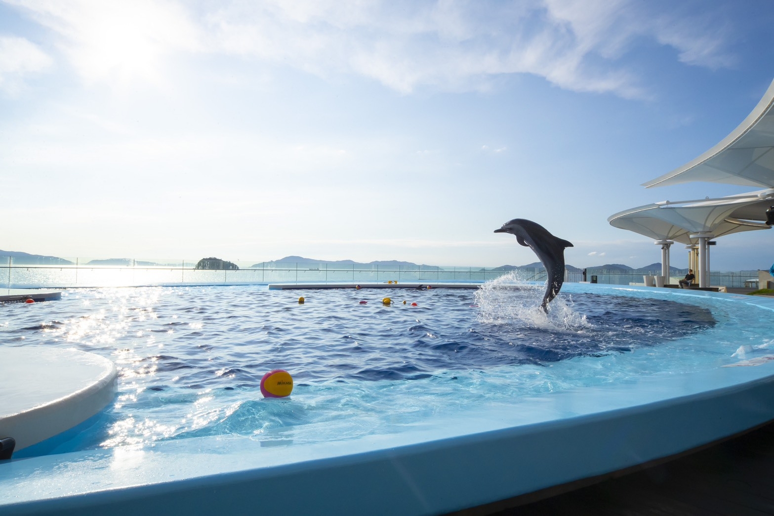 【四国水族館チケット付き】仕出し料理屋のボリューム満点朝食付きプラン