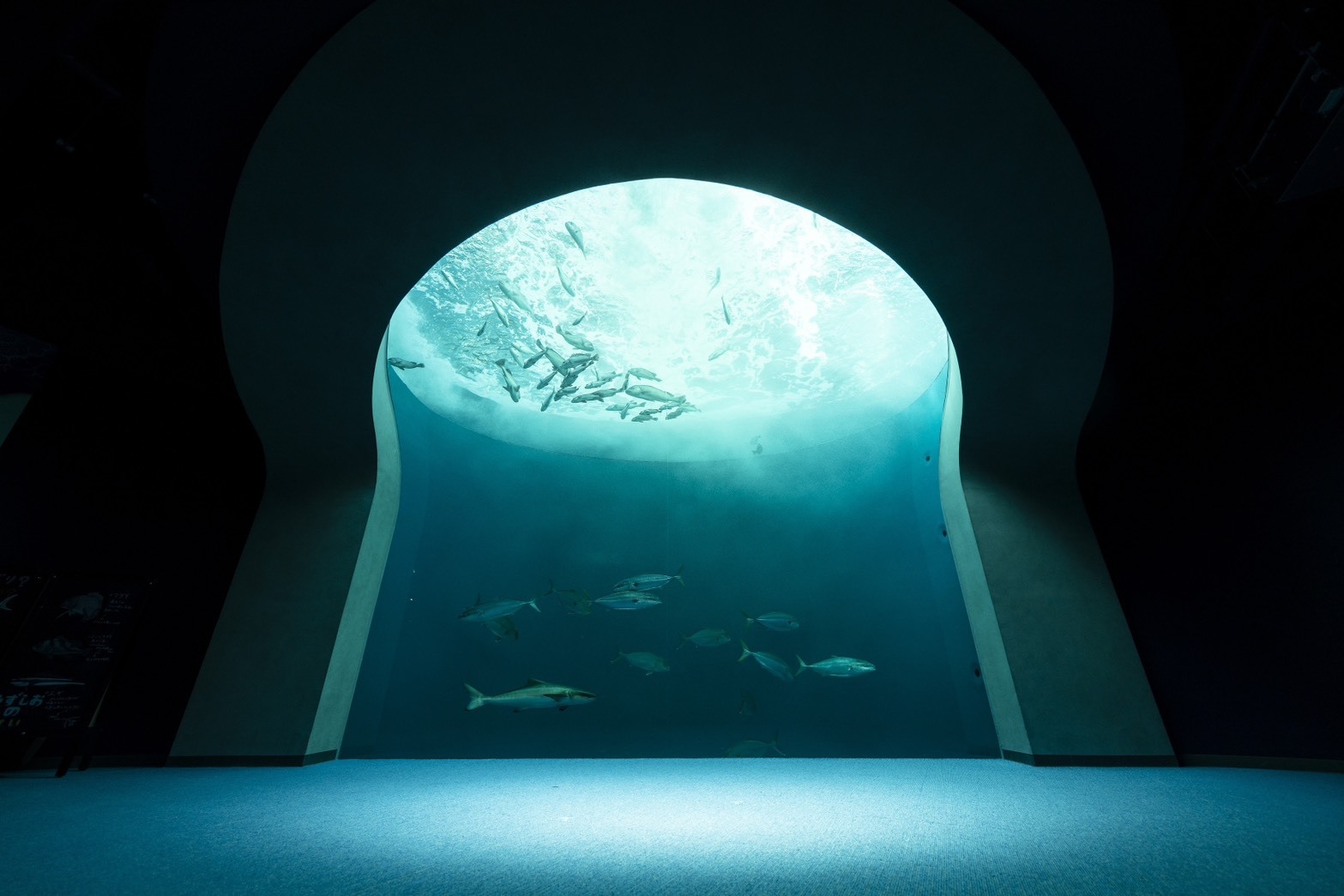 【四国水族館チケット付き】観光メインの素泊まりプラン