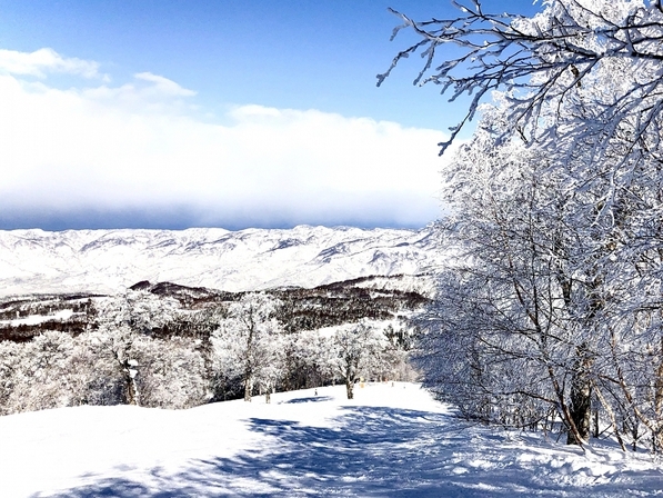 【素泊り】◇自噴源泉かけ流し湯と野沢温泉◇湯巡りを愉しむ。食事なしプラン