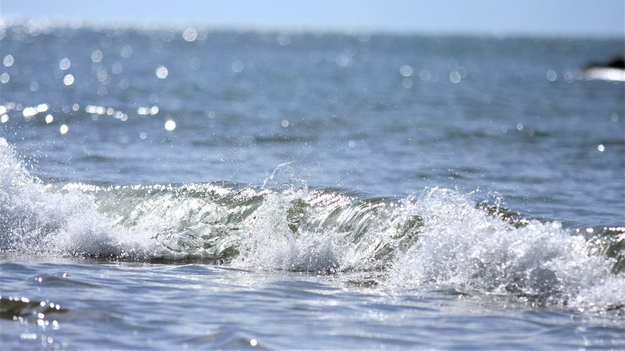 雄大な日本海を望む。波の音に心癒されるひとときを…