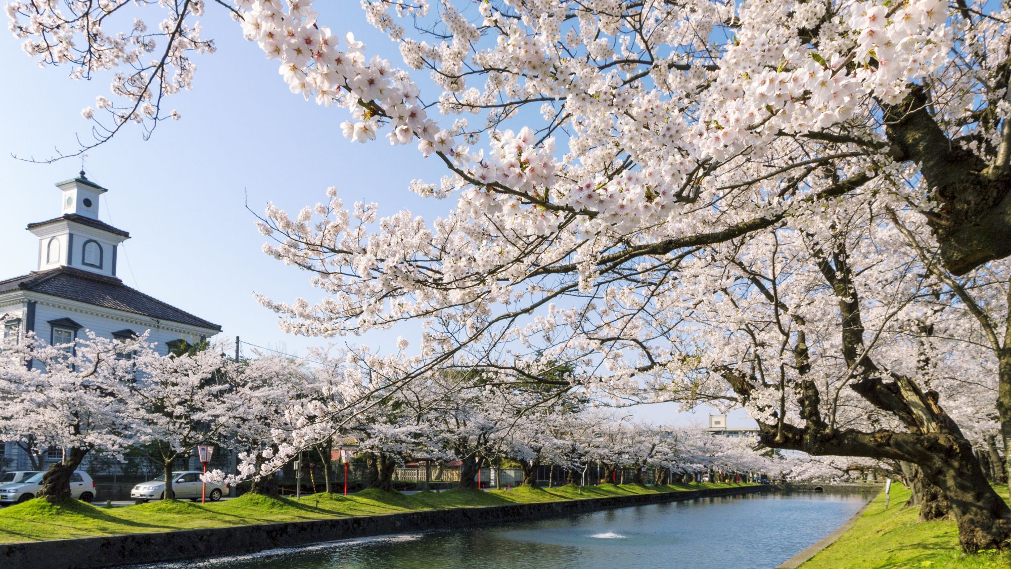 【鶴岡公園】当館よりお車約25分。四季折々、風情豊かな日本の風景が楽しめます。