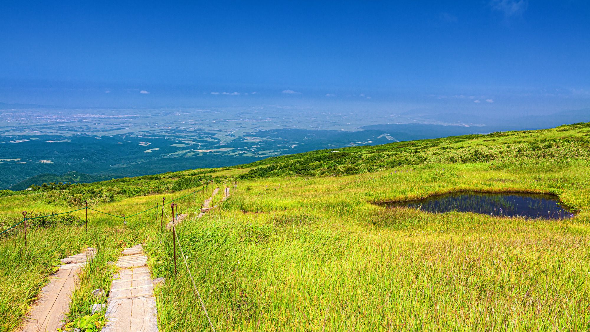 【夏の月山弥陀ヶ原湿原】当館から車で約1時間半。トレッキングやハイキングが楽しめる自然豊かな場所