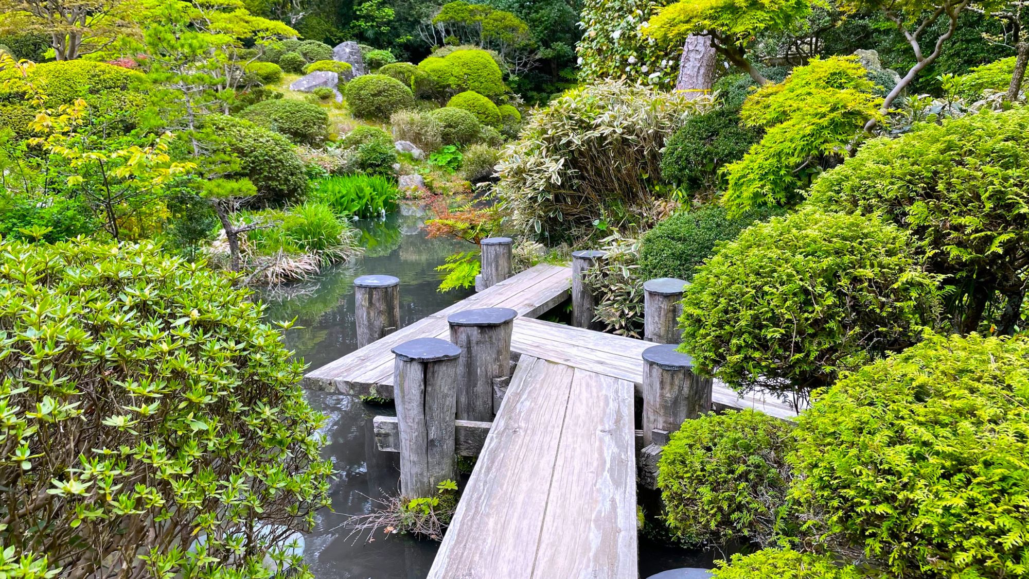 【本間美術館「清遠閣」】当館から車で約30分。ミシュラン二つ星庭園。春は桜、秋は紅葉が楽しめます。