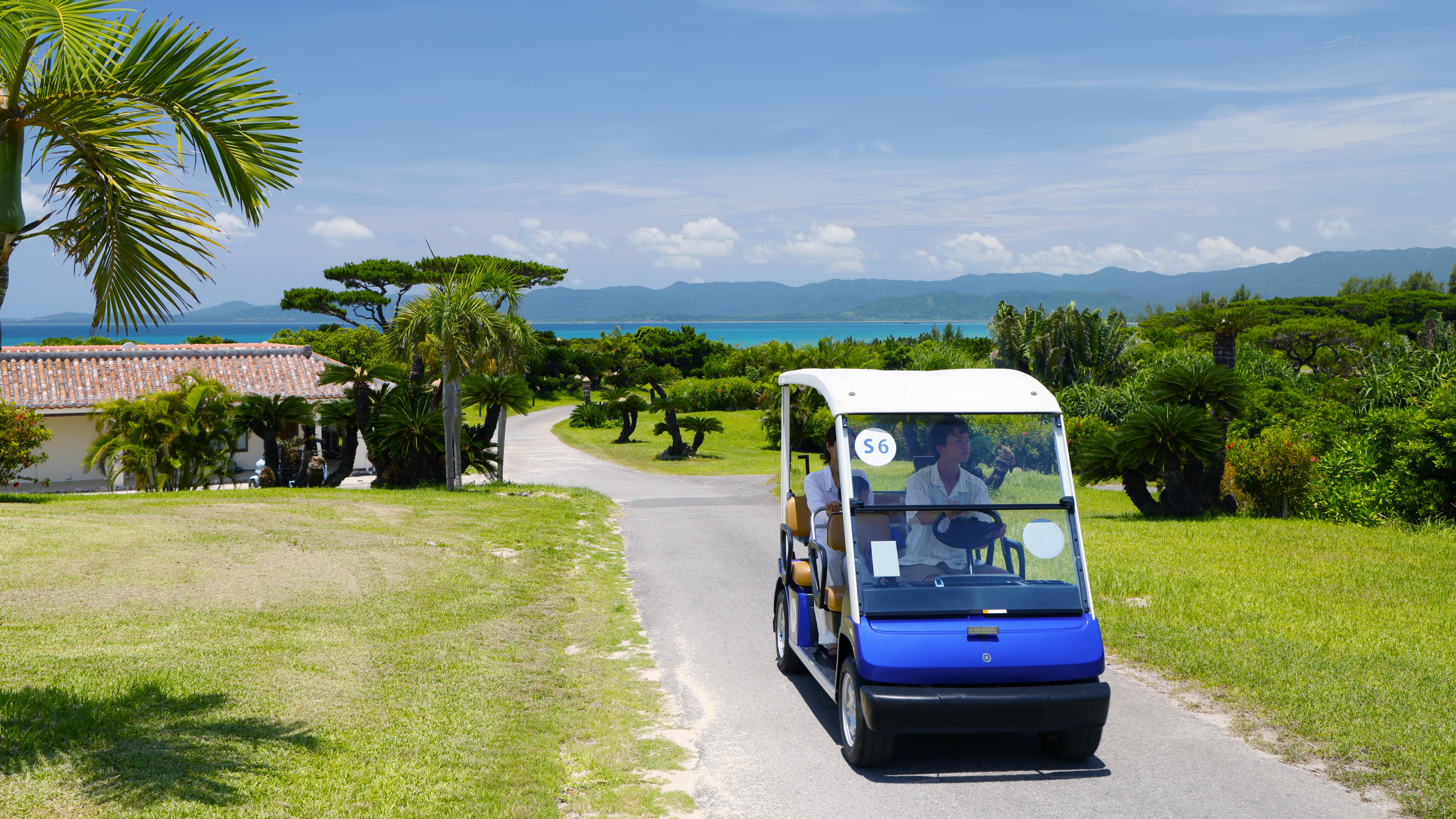 レンタルカート