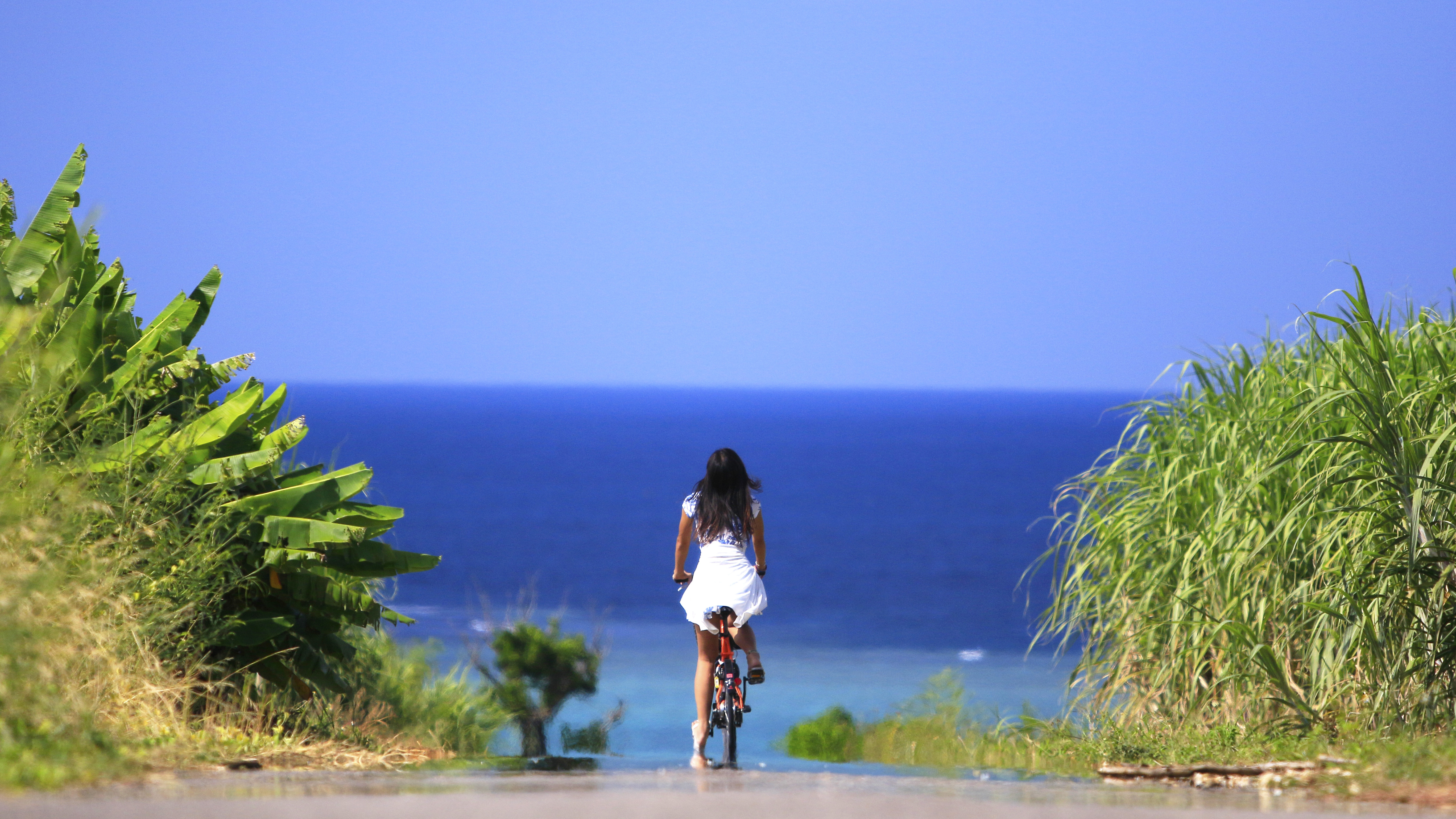 レンタルサイクル