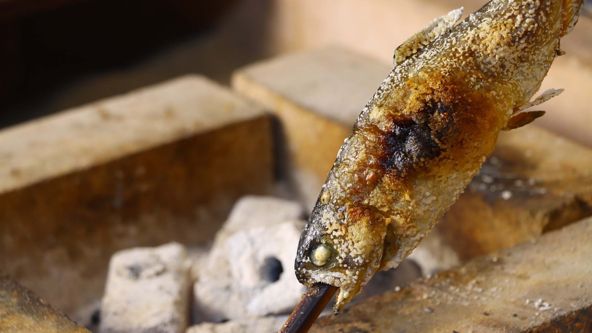 ◆季節の会席◆鹿児島の美味しいを詰め込んだリーズナブルプラン♪（ ペット不可）