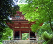 Niomon 150