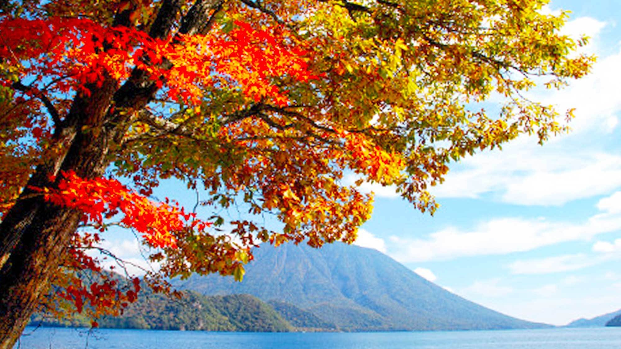 【秋満喫プラン】紅葉見物や日光東照宮観光にも最適♪露天風呂付き客室で温泉もゆっくり楽しめる（朝食付）