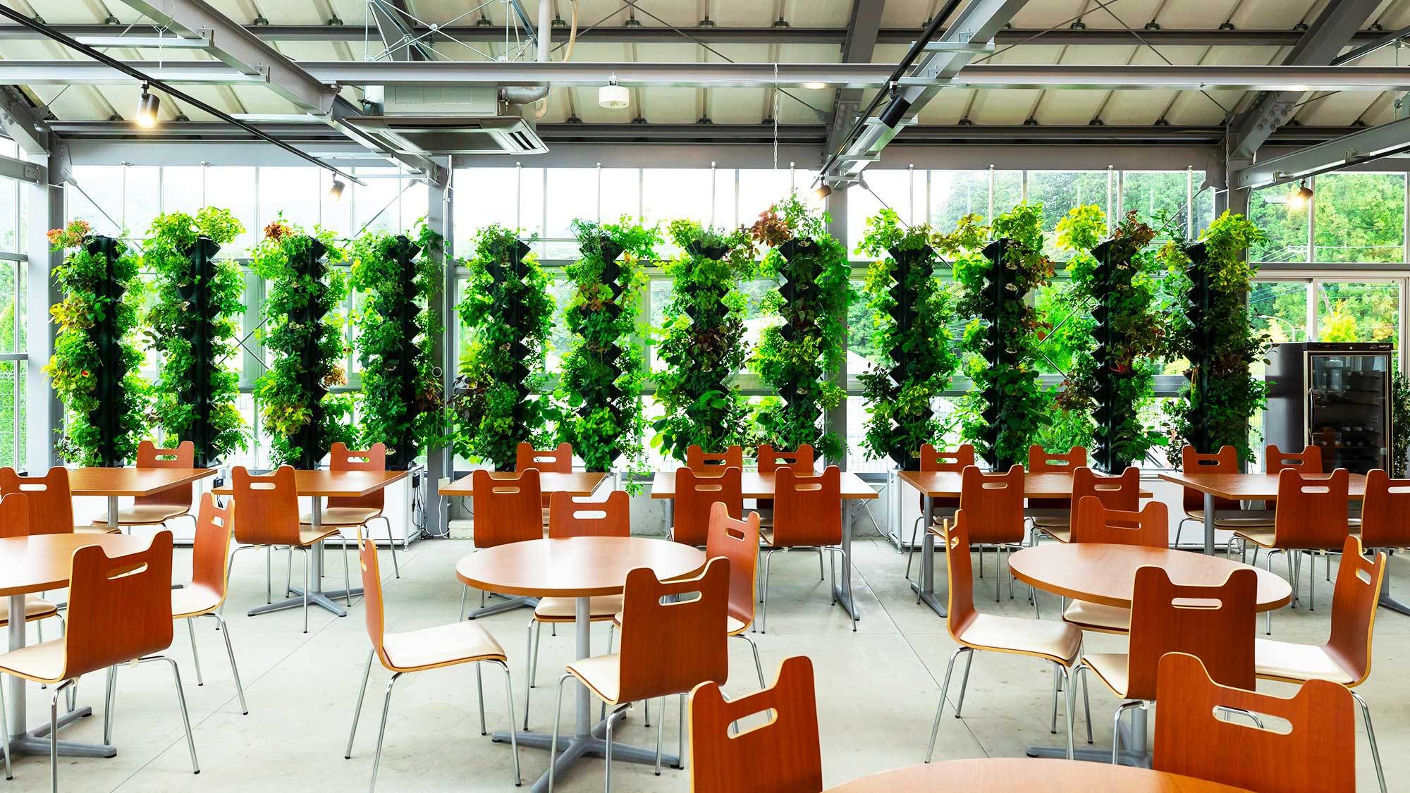 【秋冬SALE】＜フードホール食事券2500円付＋朝食付＞夕食はお好きな料理をチョイス