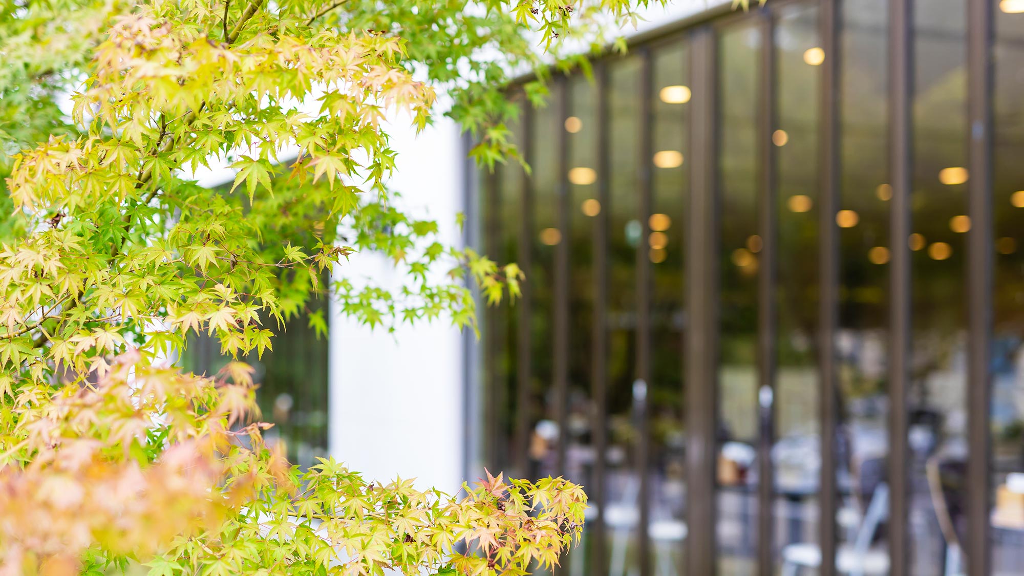 【ダイニング】お食事中は一面の大きな窓から見える景色もお楽しみいただけます。