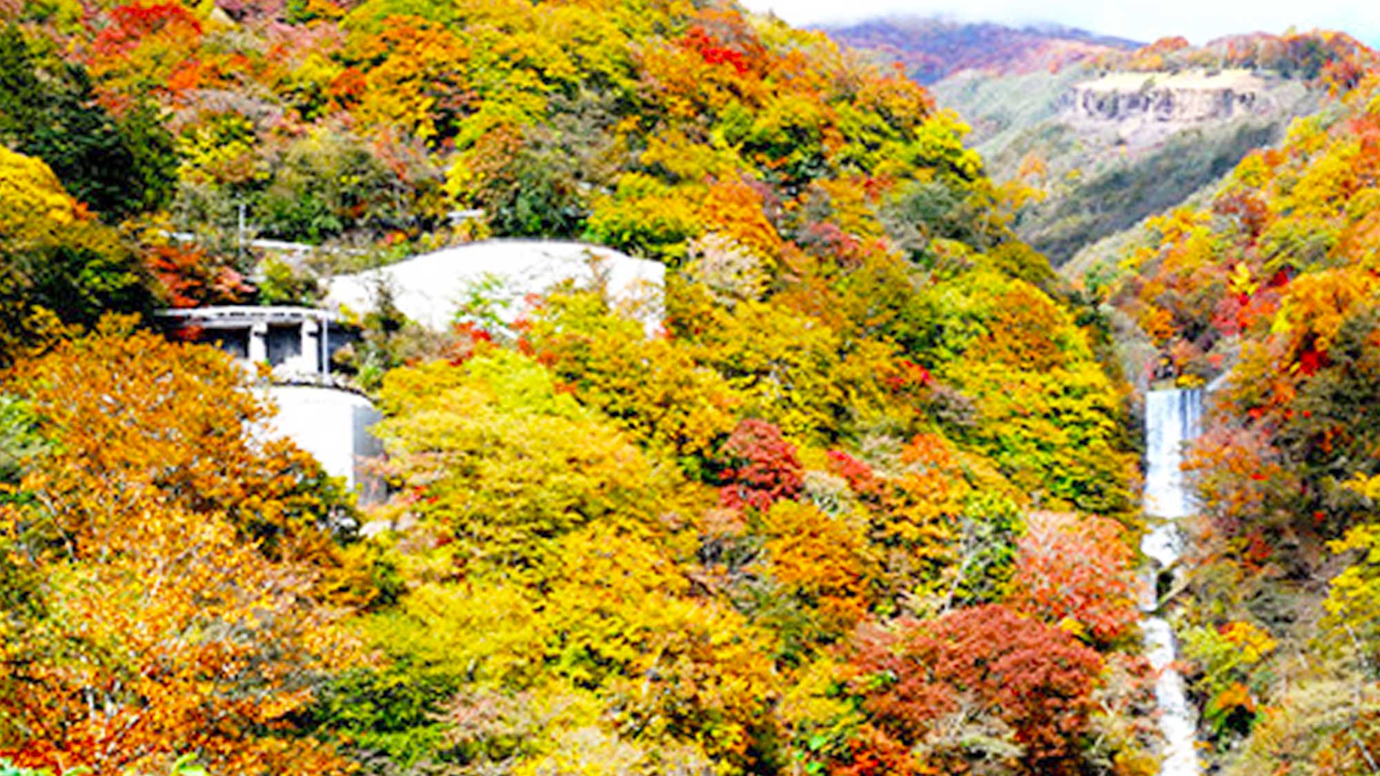 【いろは坂】日光市街と中禅寺湖・奥日光を結ぶ観光道路です。紅葉スポット。当施設からお車で約40分。
