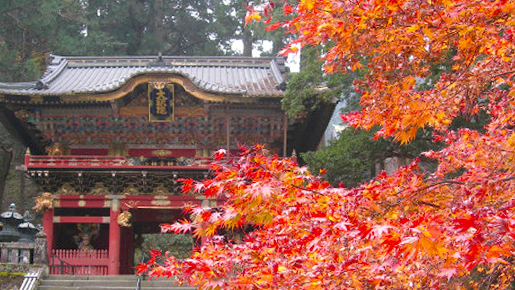 【日光山輪王寺】「二社一寺」と称される天台宗大本山の寺院です。当施設からお車で約6分。