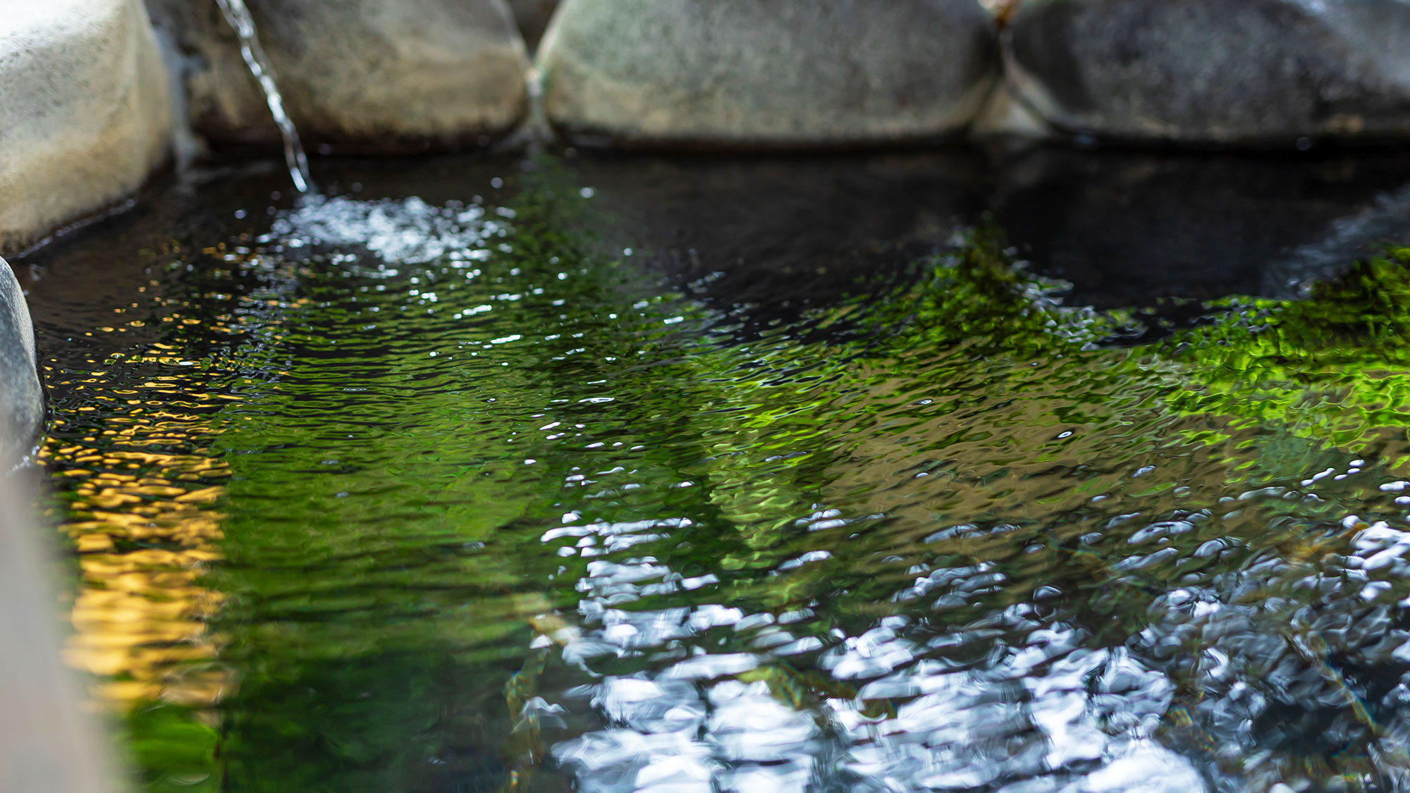 【日帰り温泉／ほの香】当ホテルのご宿泊者は無料でご利用いただけます。