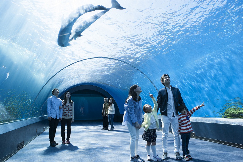 ＜全室禁煙＞☆横浜・八景島シーパラダイス・アクアリゾーツパス＆朝食付プラン☆