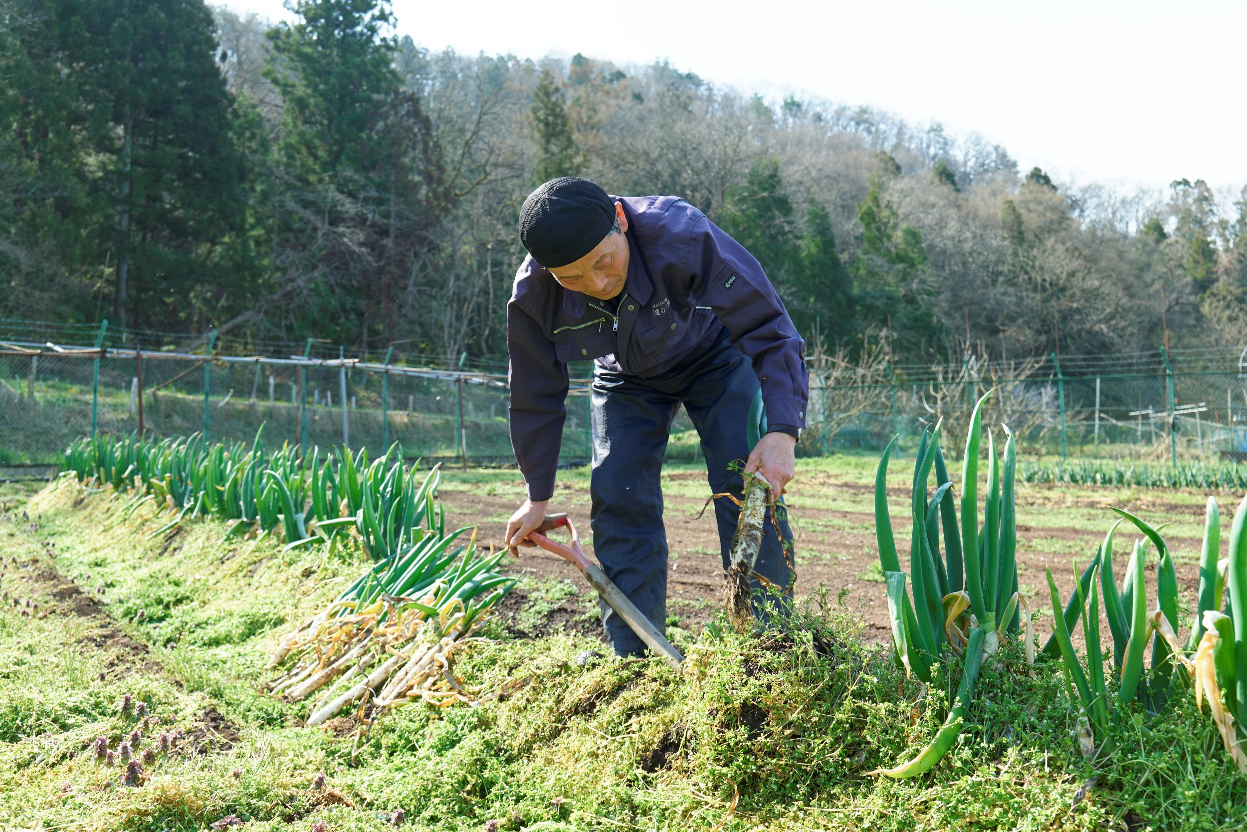 土にふれ、季節とともに育む滝の湯ホテルの農園。自然の恵みを大切に、心にも身体にもやさしい味わいへとつなげています。