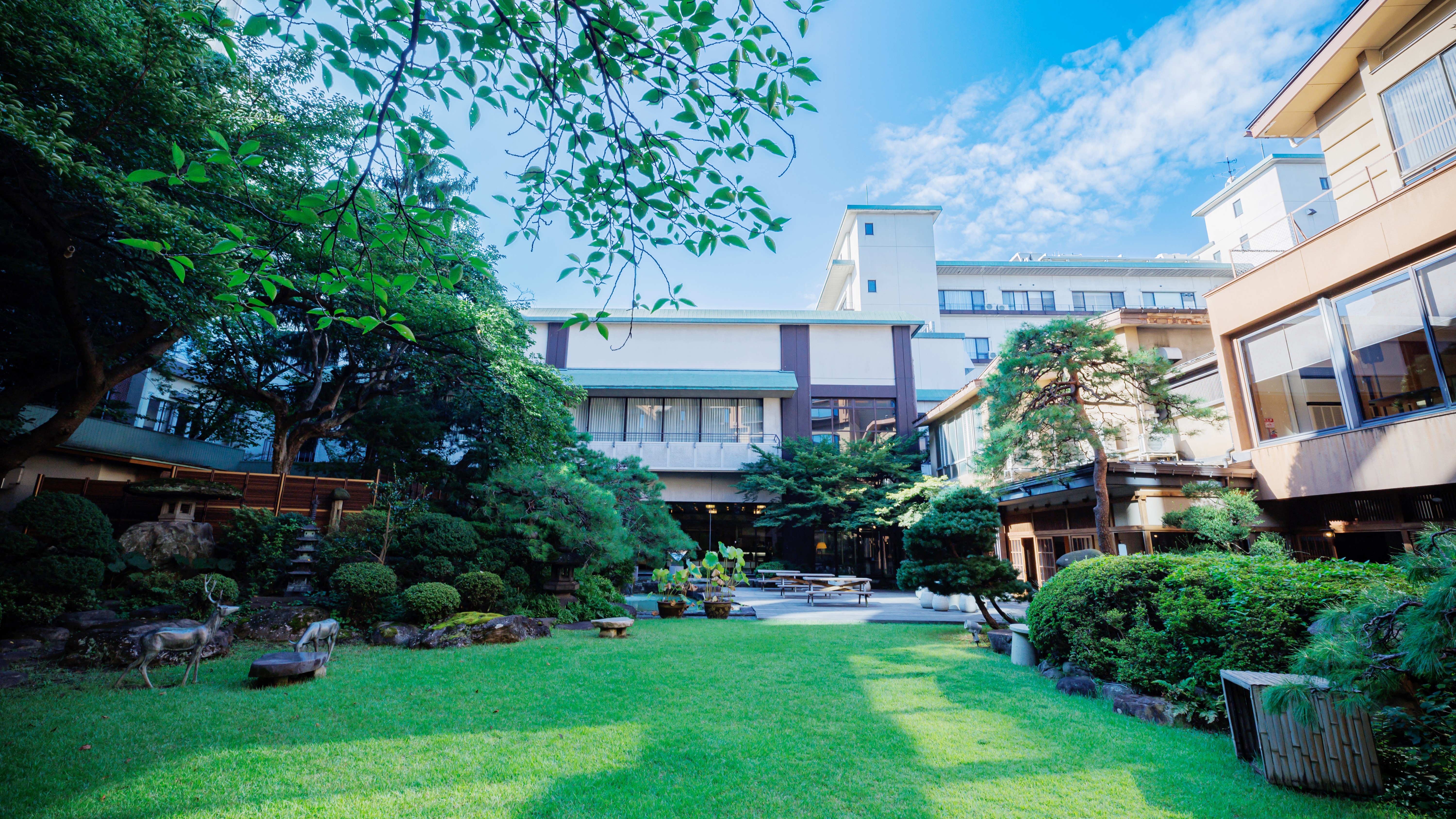 緑の芝の上から眺める中庭の風景。自然の美しさが広がるこの場所で、心が解き放たれ、穏やかな時間が流れま