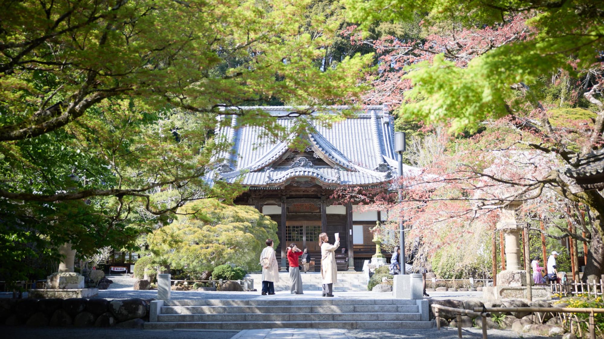 【周辺スポット｜修禅寺】豊かな緑に囲まれた本堂。日々の喧騒を忘れ、自分と向き合う穏やかなひととき。