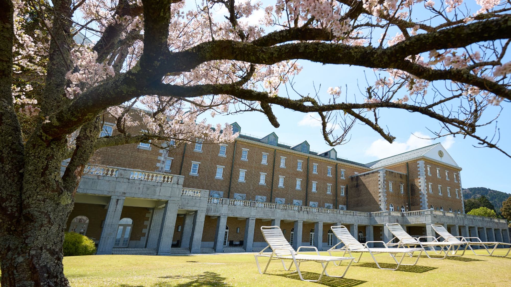 【外観】満開の桜越しに見上げる西洋の館。日本の四季と西洋の伝統が融合した、この場所だけの美しい春景色