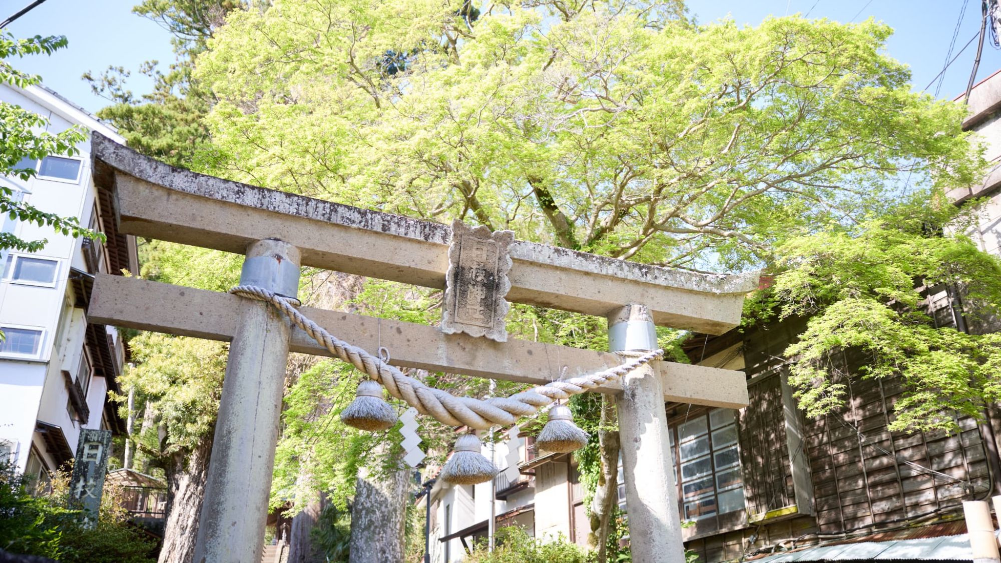 【周辺スポット｜修善寺】静寂の中に佇む鳥居。日常を忘れさせてくれる、穏やかな時間が流れます。