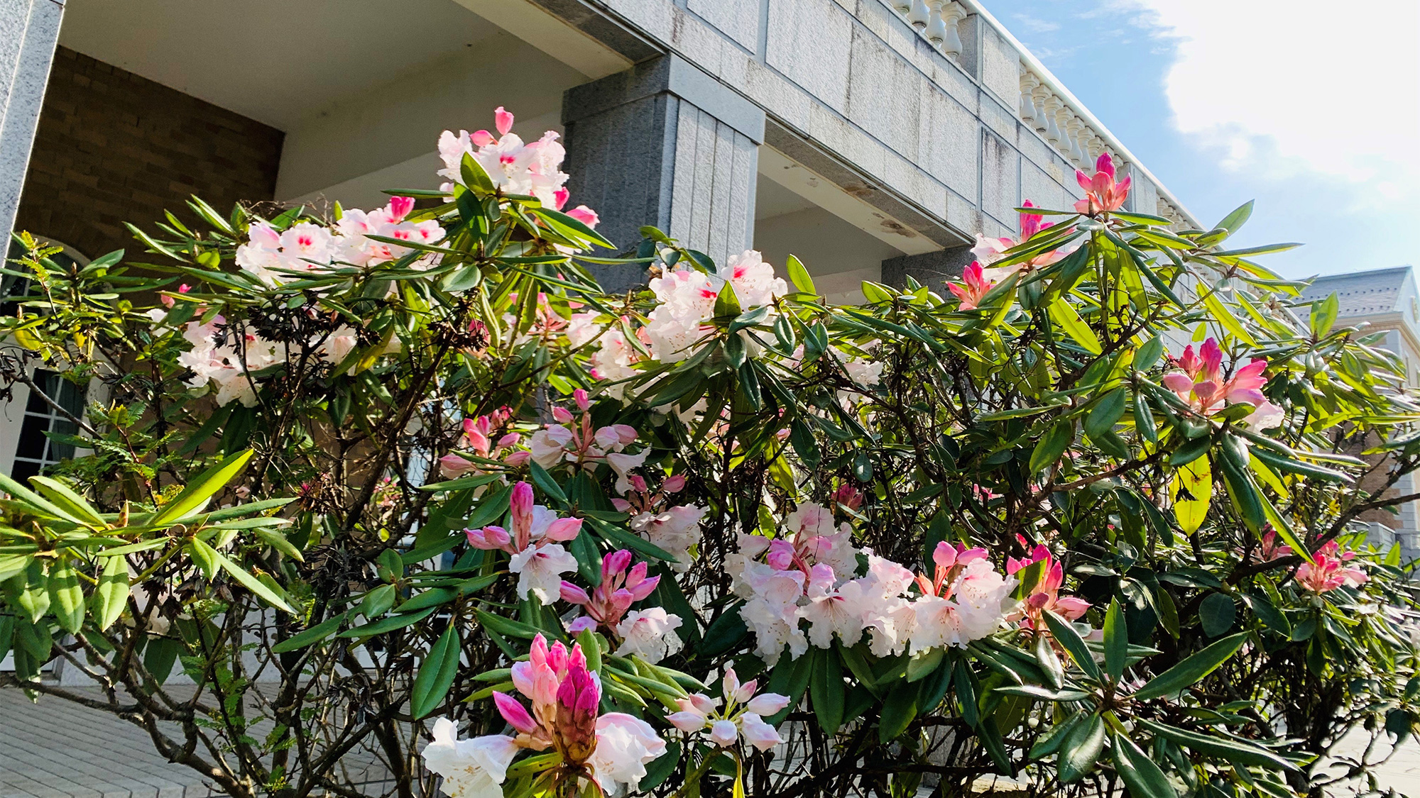 *敷地内にはたくさんの花々が咲き、大自然を感じられます。