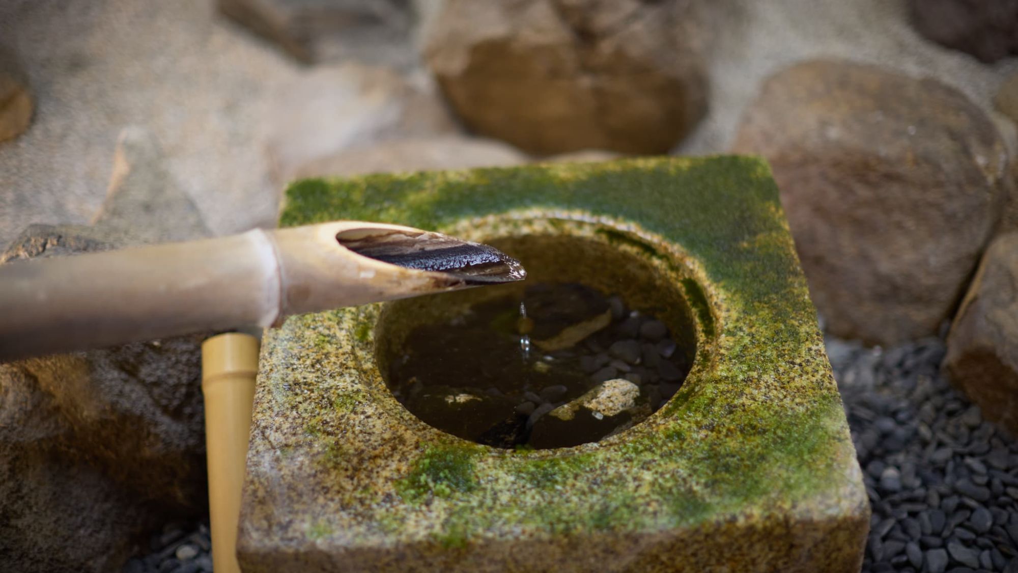 【館内｜園庭茶室】細部までこだわり抜いた和の意匠。水のきらめきが、園庭に瑞々しい生命力を与えます。