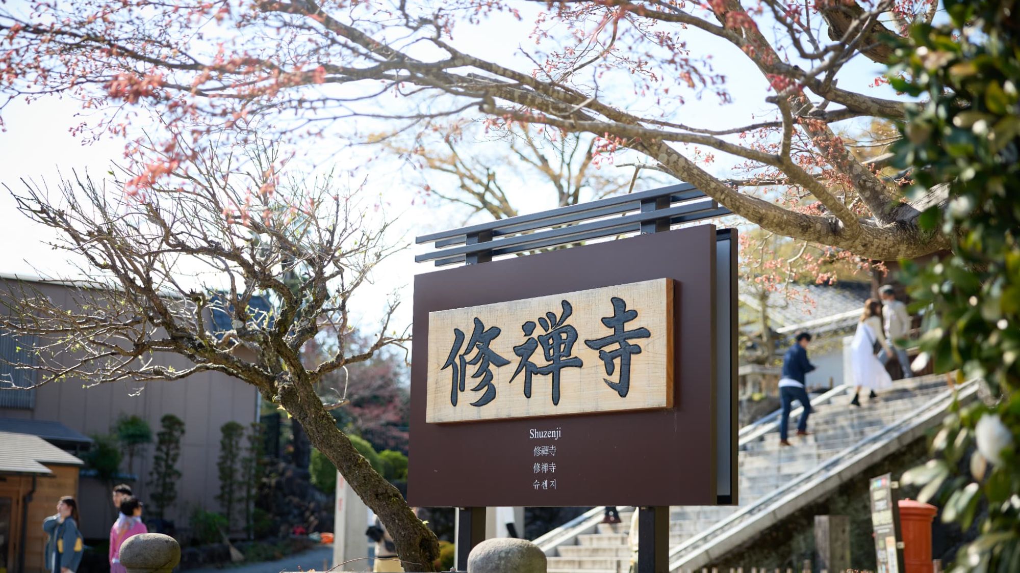 【周辺スポット｜修善寺】格式高い寺院の入り口。参拝と共に、周辺の竹林の小径を楽しむのもおすすめ。