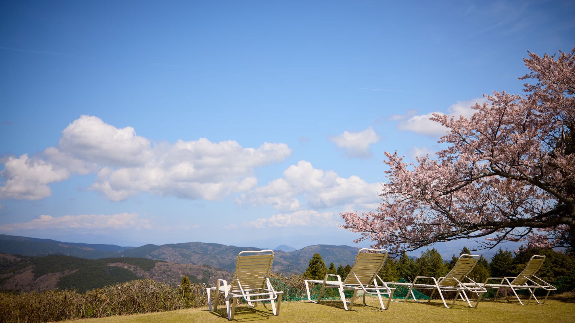 【風景】空と山、そして桜。開放感あふれる高台のテラスで、至極の開放感を。