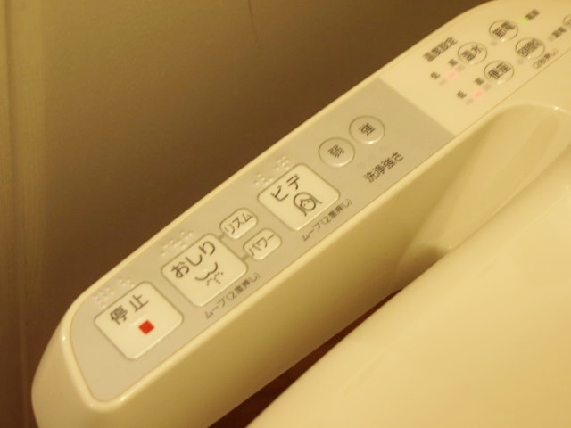 Shower toilet
