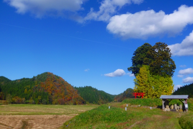 写真4