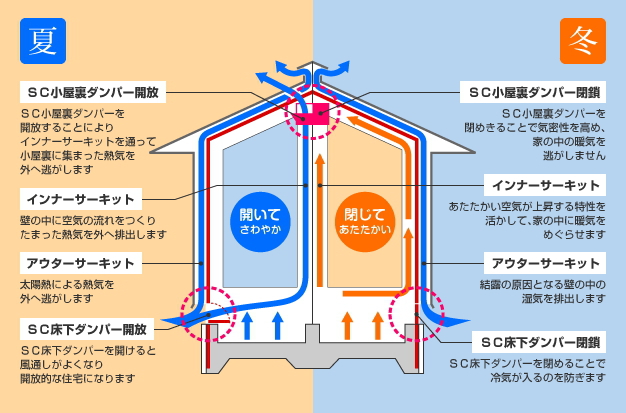 写真7