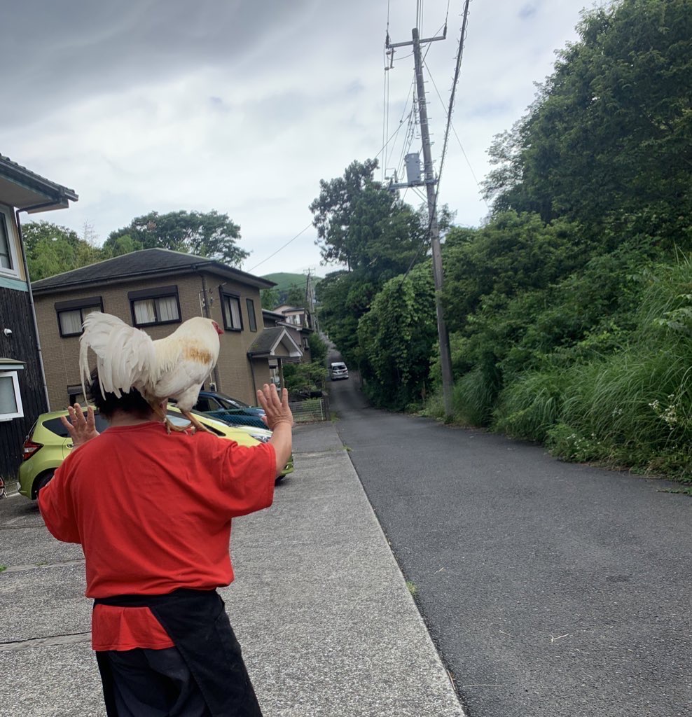 鶏さんとお客様のお見送りいたしました。