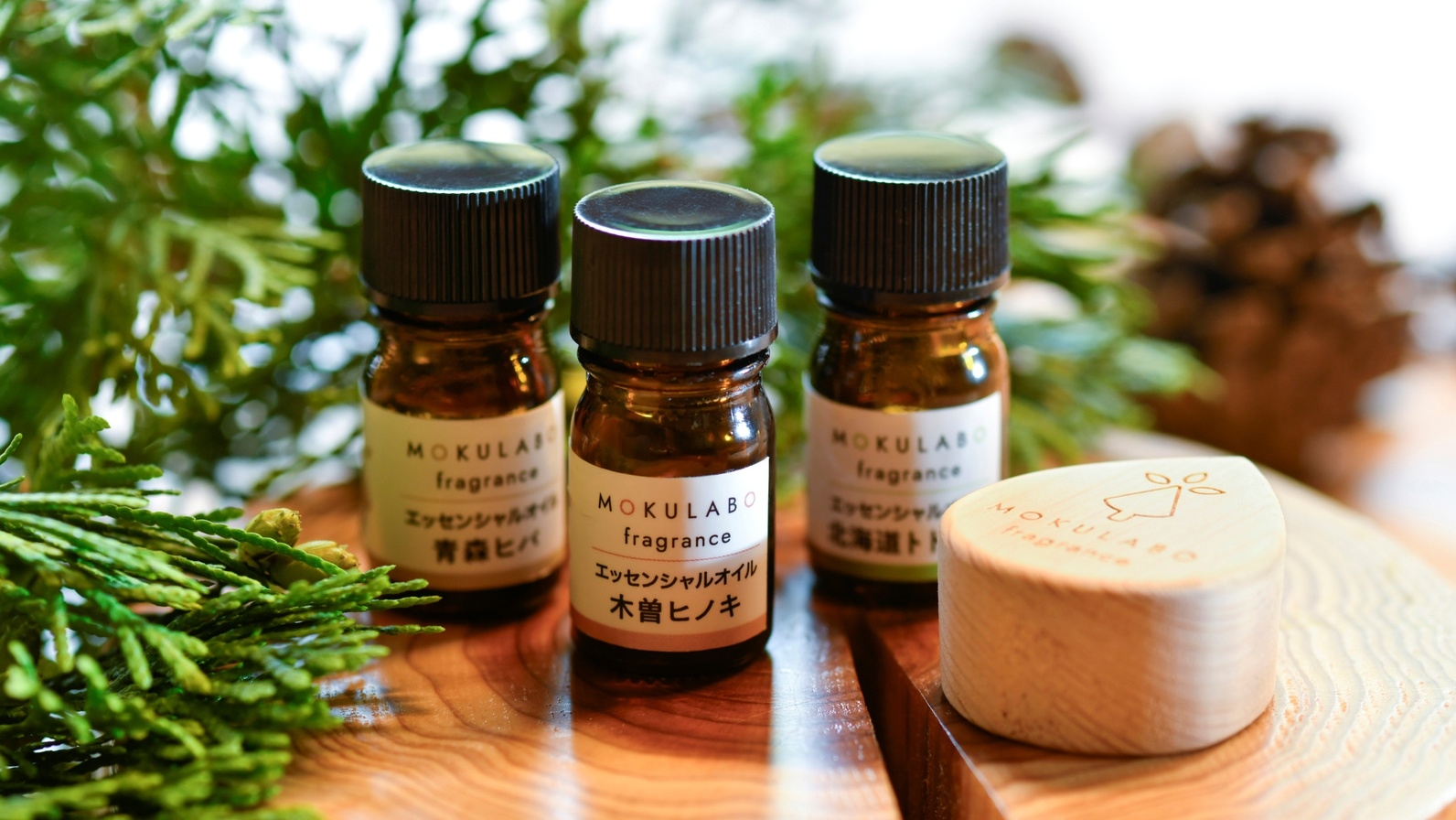 【サウナイキタイ】【オロポ付プラン】サウナ後は定番ドリンクで乾杯！サウナ＆交代浴の特別な入浴体験