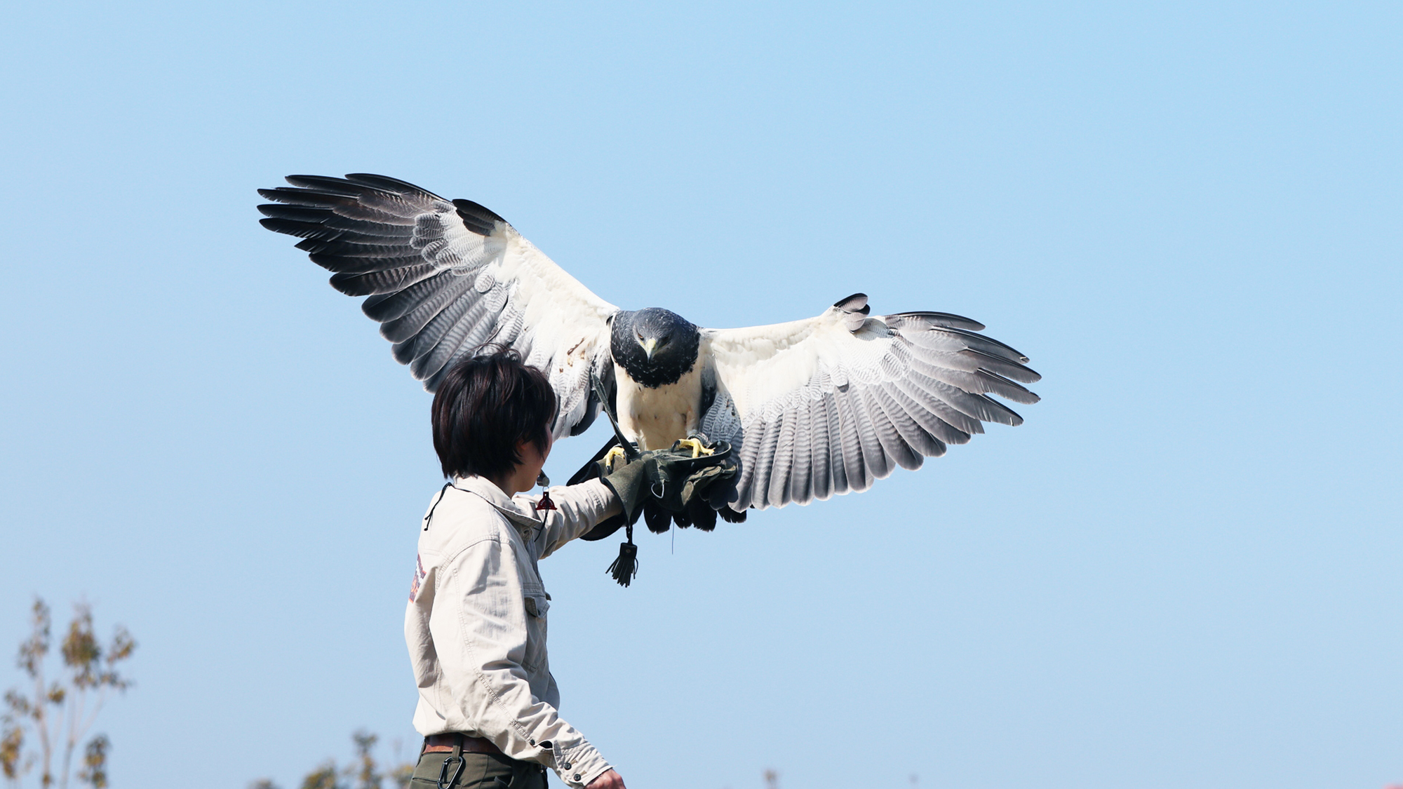 ◆神戸どうぶつ王国　バードショー◆