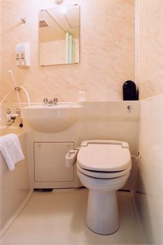 Shower toilet