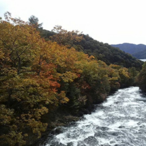 日光　竜頭の滝