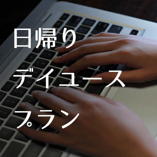 【室数限定】特典てんこ盛り！最大10時間滞在可能♪日帰りデイユースプラン♪１２時〜１８時滞在