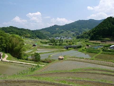 【当館人気】【朝食付】♪♪世界遺産・暫定リスト登録の飛鳥・藤原を巡るプラン♪♪【駐車場先着無料】