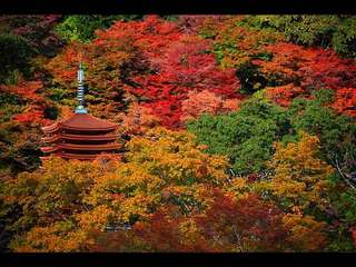 談山神社の紅葉