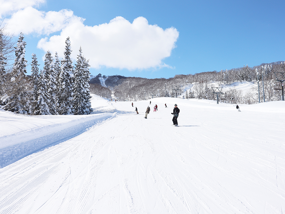 【上越国際スキー場】ゲレンデ（イメージ）