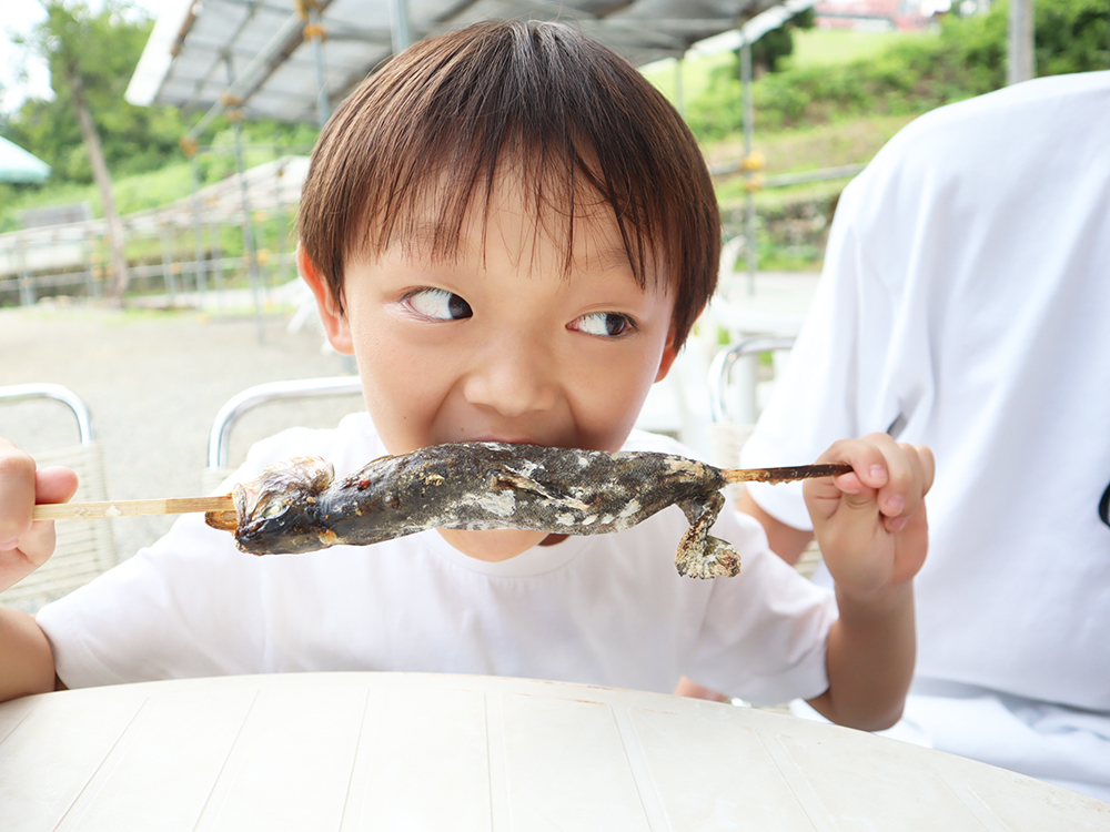 【上国渓流園】（イメージ）※夏期営業