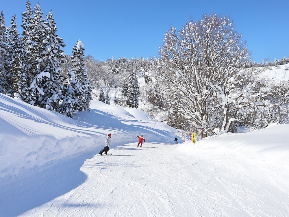 【上越国際スキー場】ゲレンデ（イメージ）
